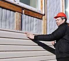 Best Fascia and Soffit Installation  in Toledo, IL